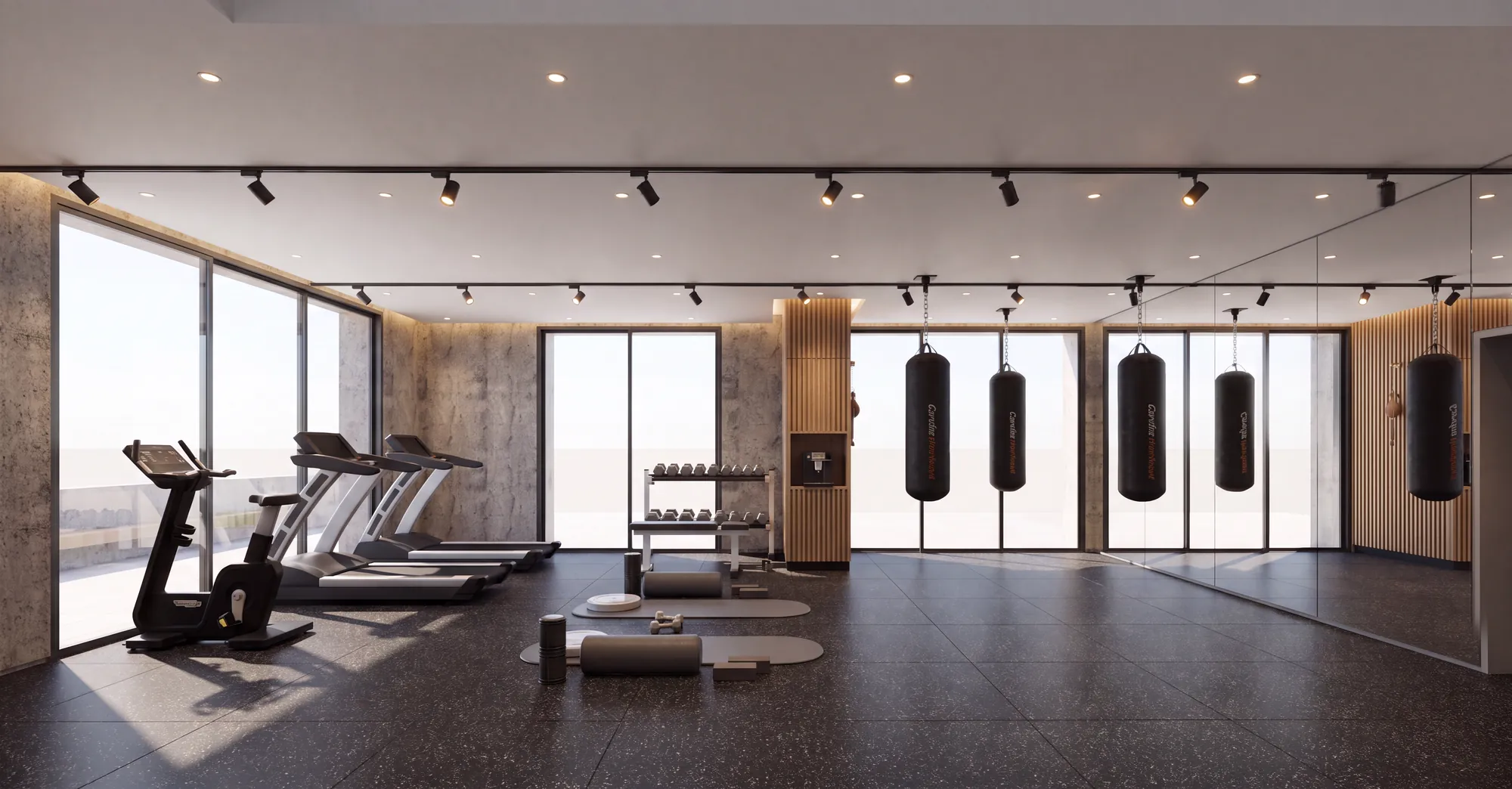 GD Levy · Wellness — residents' amenity